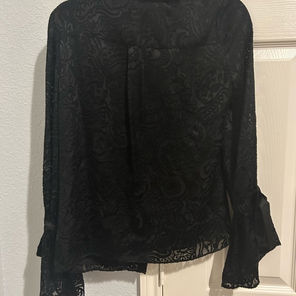 Alice and Olivia Velvet Burnout Blouse - Picture 4 of 4